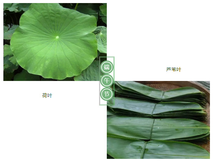 蓝鲸直播医纺