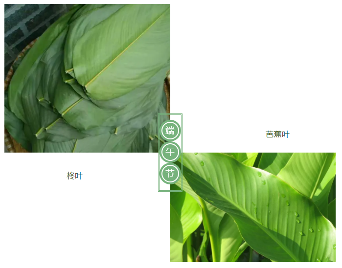 蓝鲸直播医纺