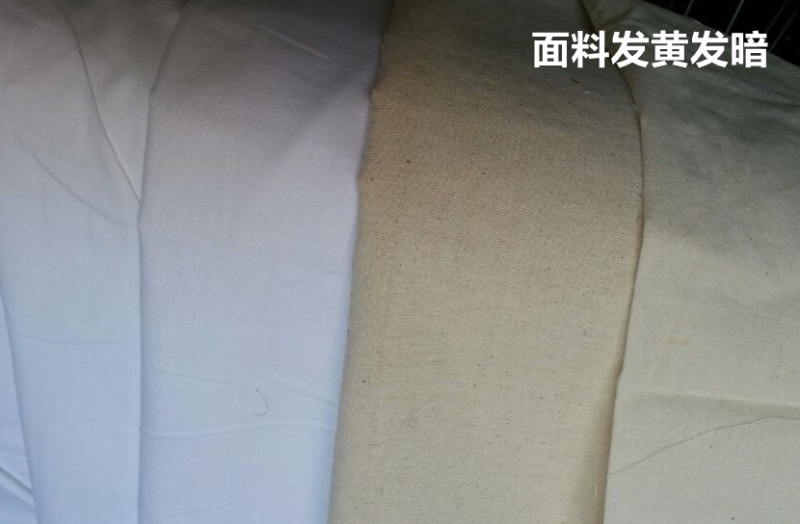 蓝鲸直播医防医用面料