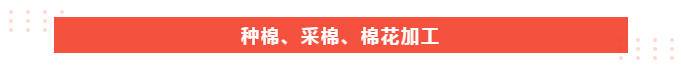 蓝鲸直播医纺