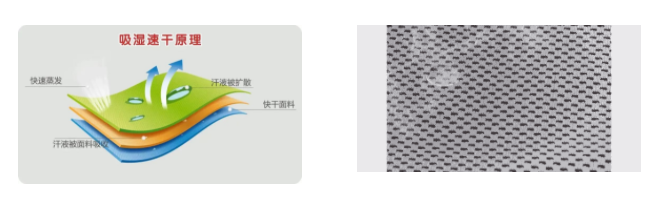 蓝鲸直播医用纺织